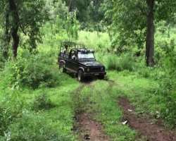 Government-approved forest jeeps are available for the visitors to go through private estates. One will have to trek the last few km in order to reach